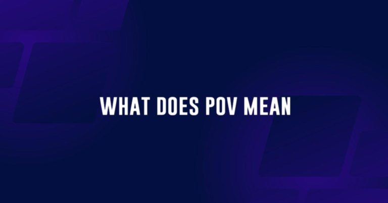 what does pov mean